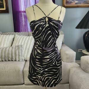 Zara Black and White Zebra Print Mini Dress